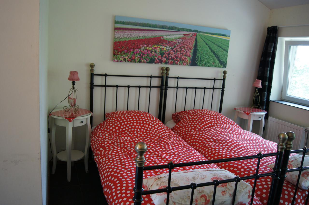 Het Bonte Paard Bed & Breakfast Dwingeloo Exterior foto