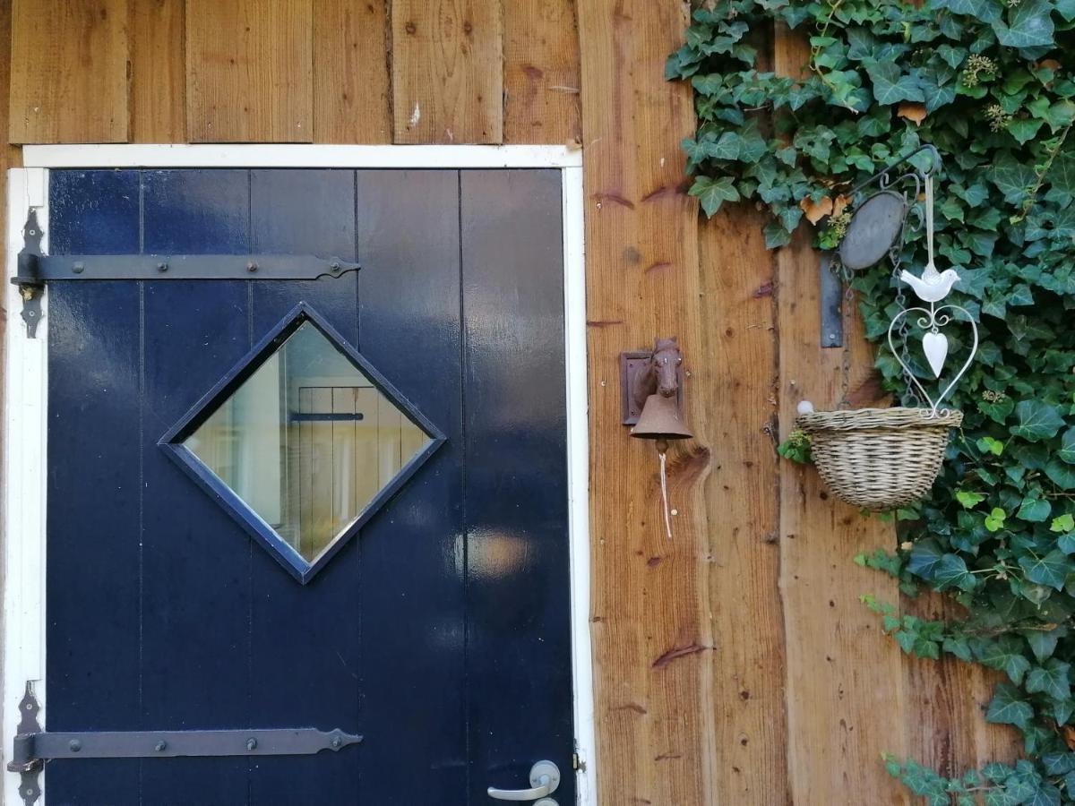 Het Bonte Paard Bed & Breakfast Dwingeloo Exterior foto